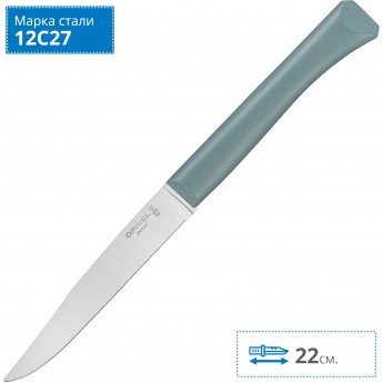 Нож столовый OPINEL N°125, полимерная ручка, нерж, сталь, шалфей. 002195 Нож столовый OPINEL N°125, полимерная ручка, нерж, сталь, шалфей. 002195